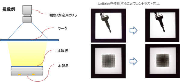 検査用照明